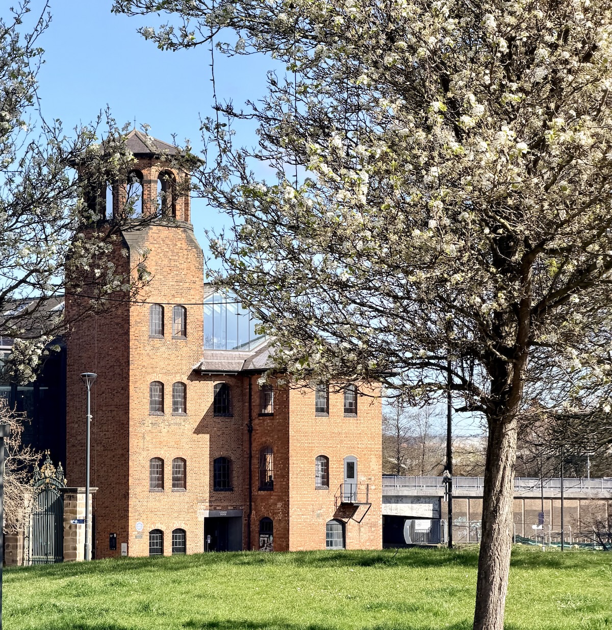 Derby's Silk Mill is seen in the middle-distance with blossom-laden trees in the foreground.